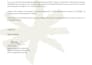 build react and nextjs web applications